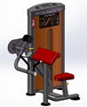 Arm Curl Machine-DF-8003