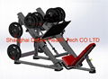  LEG PRESS 45 degree- DF-8038