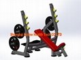 fitness machine and Professional Commercial Incline Bench-DF-8041