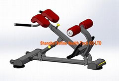 MULTI HYPEREXTENSION -DF-8047