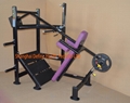 Squat Stand and Pull Up-FW-600 16