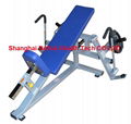 Incline Butterfly Machine - FW-622