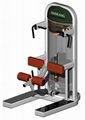 gym and gym equipment,body building