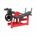 fitness equipment, gym machine, plate