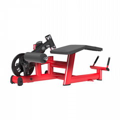 fitness equipment, gym machine, plate loaded equipment,LYING LEG CURL