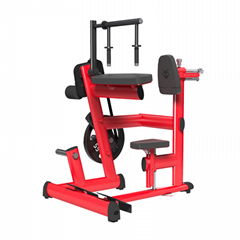 fitness equipment, gym machine, plate loaded equipment,TRICEPS EXTENSION
