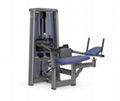 fitness equipment, gym machine, plate