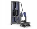 fitness equipment, gym machine, plate