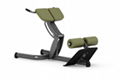 fitness equipment, gym machine, plate