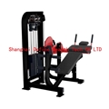 Abdominal Crunch - DF-7025