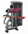 Biceps Curl  DF-9022 1