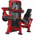 Seated Leg Curl  DF-9014