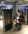 Seated Leg Curl  DF-9014