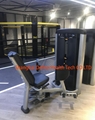 Seated Leg Curl  DF-9014