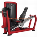 Seated Leg Press  DF-9016 1