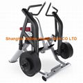 Biceps Curl - DF-6003