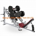 Linear Leg Press – DF-6012 1