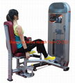 fitness machine,body-building &fitness equipment,Leg Extension+Leg Curl,HN-2005