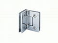 Shower Hinge