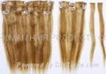 Clip In Hair Extensions & Weft Hair Extensions