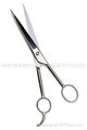 Hair Cutting Scissors