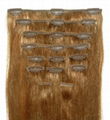 clip in hair weft 2