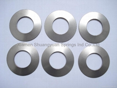 stainless steel disc spring