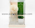 1pc sola flower, 1pc potted plant, some sticks in glass bottle