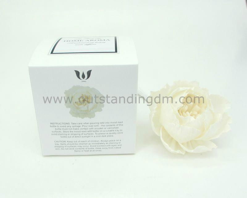 sola flower in decorative box