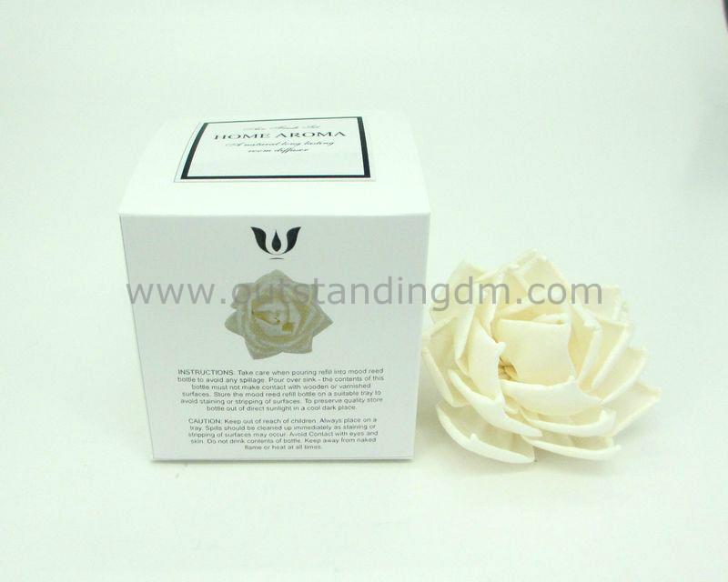 sola flower in nice packaging box