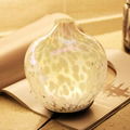 Hot Selling Glass  Electronic Aroma Diffuser