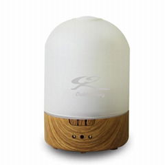 Electronic Aroma Diffuser