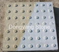 Blind stone(Blister paver)  5