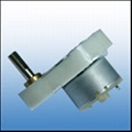 Micro DC Gear Motor(001)