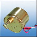 Micro DC Gear Motor(004) 1