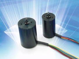 Micro Brushless DC Motor(001)