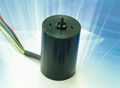 Micro Brushless DC Motor(007)