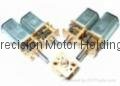 Micro High Voltage Gear Motor(010)
