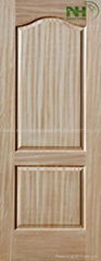 Veneer Door Skin