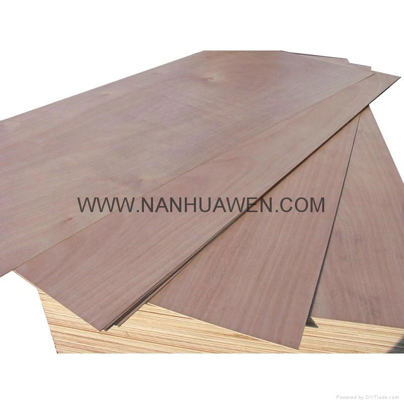 Door Size Plywood