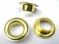 Eyelets 3