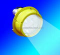 DL601F explosion-proof lighting fixture，outdoor floodlight, area light 