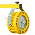 DL619 corrosion proof dock light with