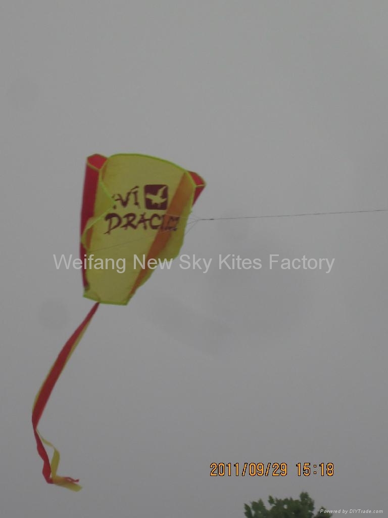 Pocket advertising kite (80x45cm)