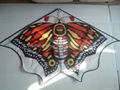 7011Butterfly