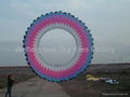 5108 Ring kite 2