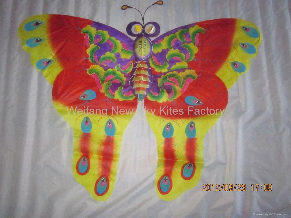 2008 Butterfly