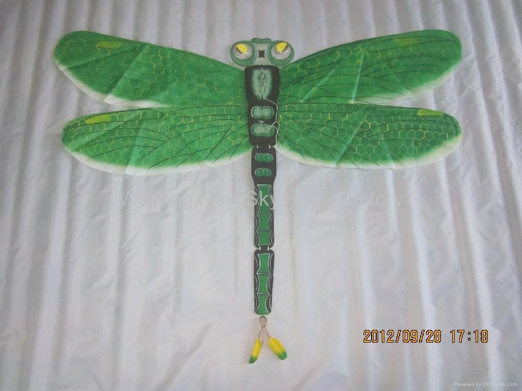 2086 蜻蜓