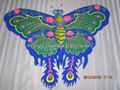 2009  Butterfly 1