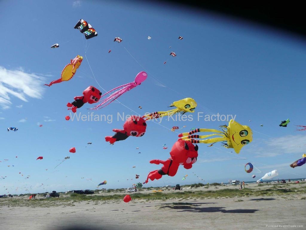 Our Varatia devil kites in Denmark